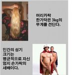 <b>인체</b>의 신비 (진짜 신기함)
