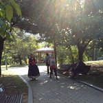 ★사진有)))<b>여의도</b>공원에서 달샤벳 봤어요!!!!!!!!!!!!!...