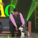 브라우니 무명 시절 (아빠와 아들에 단역으로 출연)