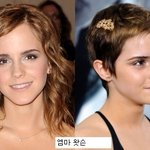 <b>헐리</b>웃 스타들의 긴vs짧은 머리