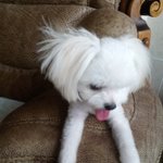 꽃<b>돌</b>이 순<b>돌이</b>가 왔어요 ~