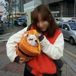 개 <b>두목</b> 을 소개합니다 !