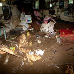 올해 무려 <b>카눈</b>, 볼라벤, 덴빈, 산바까지 4개의 태풍이 왔었는데...