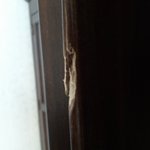 이사할 때 주의하세요. 코끼리 익스프레스 (<b>동부</b>)