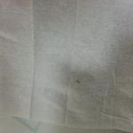 물티슈에서 벌레가 나왔어요 ㅠ.ㅠ