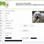 13일후 이 아이는 더이상 밝은 세상을 보지 못합니다