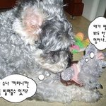 ★안녕하세요! ★ 꼬마에요! 기억나시나요~?