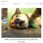 <b>허세</b>작렬 셀카.jpg