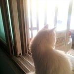 여아인척 연기하는 오드아이 내새끼-<b>다섯</b>번째