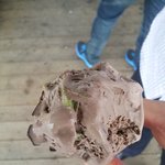 베스킨 초코렛 무스에 <b>녹색</b> 곤충?