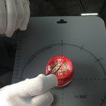 요거트에 들어있는 딸기씨 개수 암?