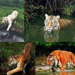 강간범 사진들 보시고 개<b>쌍욕</b>좀