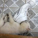 이시<b>키들</b> 히아없다고