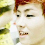 김 유 권