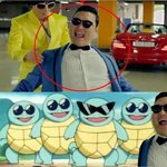 사진有느님)★ 싸이닮은 <b>동물</b>