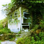 Mr.<b>Lee</b>의 네번째 여행기 - 통영 동피랑 벽화마을