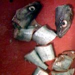 서울<b>왕십리</b>시장에서 토막살인일어남ㄷ(사진유)