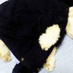 인형 <b>포스</b>