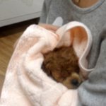 나두 울강쥐자랑 ~