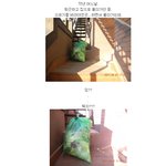 (충격주의) 쓰레기<b>봉투</b>속 함께버려진 고양이