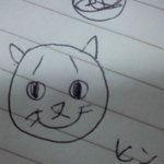 사진多))니가 고양이냐 사람이냐