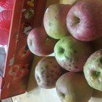 ★★★★★(사진有)재래ㅎ<b>시장</b>의 폐해★★★★★★★