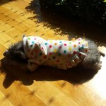 으앙 ㅠ 내머리카락 <b>쥬금</b> ㅠ