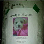 ★★★★★★★★★대구사시는분들한번만봐주세요제발★★★★★★★★★
