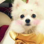 추석특집 한글사랑 한복사랑 [24탄!!!]