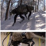 아 진짜 볼수록 넘 징그럽다