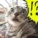 오늘은 제 인생 최악으로 재수없는 날입니다ㅠㅠㅠㅠㅠㅠ