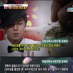 無팬덤)빂아님) 지드래곤 대마초 사건에 관해서