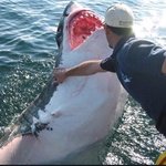 <b>간지럼</b>타는 남자친구가 싫어요...