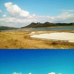 ★사진有/시골가서 찍은사진★