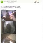 <b>무식</b>함 티내기류甲