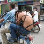 대륙의 <b>안전</b>벨트