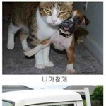 개웃김  <b>모둠</b> 빵터짐★★★★