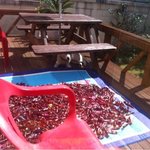 [가비두비14탄]사람인지 개인지 헷갈리는 똥꼬발랄우리집멍멍2들을...