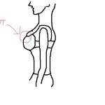 오늘처음뽕꼈는데..