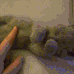 <b>상욕</b> 하는 여자들 무섭긔