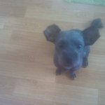 요즘 <b>이맛</b>에 삽니다.