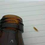 까스활명수!! 먹고 죽을수있습니다!!(사진)