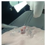 요거트<b>속</b>에 딸기씨를 세는 남자. 요딸<b>남</b>을 아시나요?