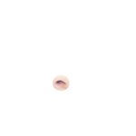 왜사람들이 <b>청초</b>에죽고 <b>청초</b>에사는거야 ?