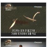 성범죄자들에게 강제<b>선물</b>함 !!!!!
