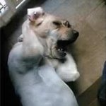 머리망한거 어떻게 <b>보상</b>받을수 있음??