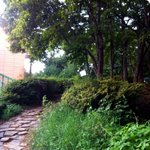 산에서 뚝 떨어진 고슴도치 밤톨이~