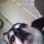 밍키 그녀의 <b>사사</b>로운 생활