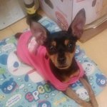 우리초롱이를 처음으로 소개시켜드림