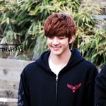 [必×必]<b>special</b> 박상현's birthday♥ d-1